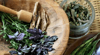 Leczenie łuszczycy środkami ludowymi